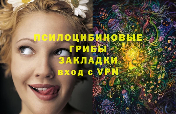 дурь Верея
